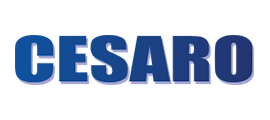 www.fiatcesaro.it